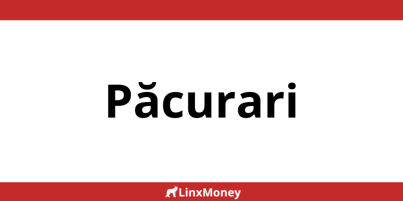 Locații MoneyGram în Păcurari Program non-stop